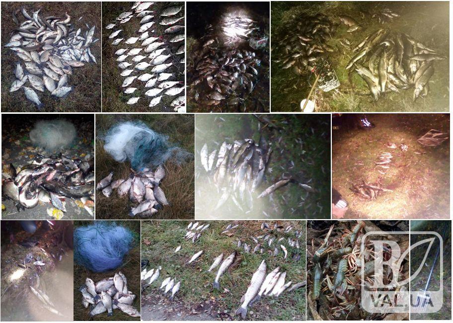 Черниговские браконьеры в ноябре «наловили» рыбы почти на 80 тысяч гривен