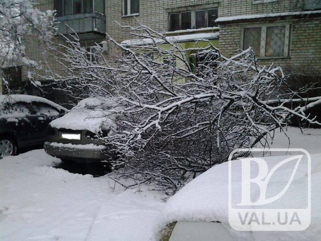 Машини в заметах і повалені дерева: снігопад «наслідив» на Чернігівщині