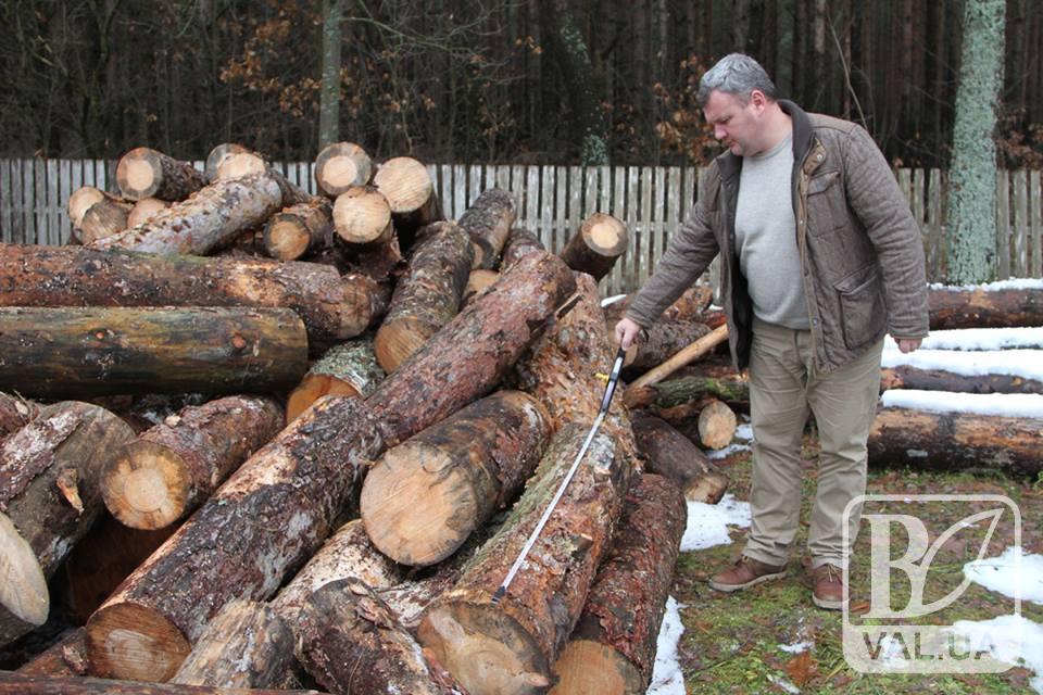 На Чернігівщині «чорних лісорубів» застали на гарячому