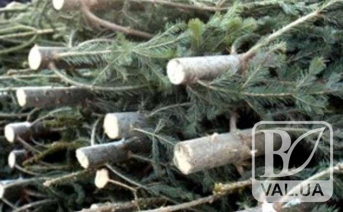 Операція «Ялинка» в розпалі: у шести районах області вже вилучили десятки незаконних дерев