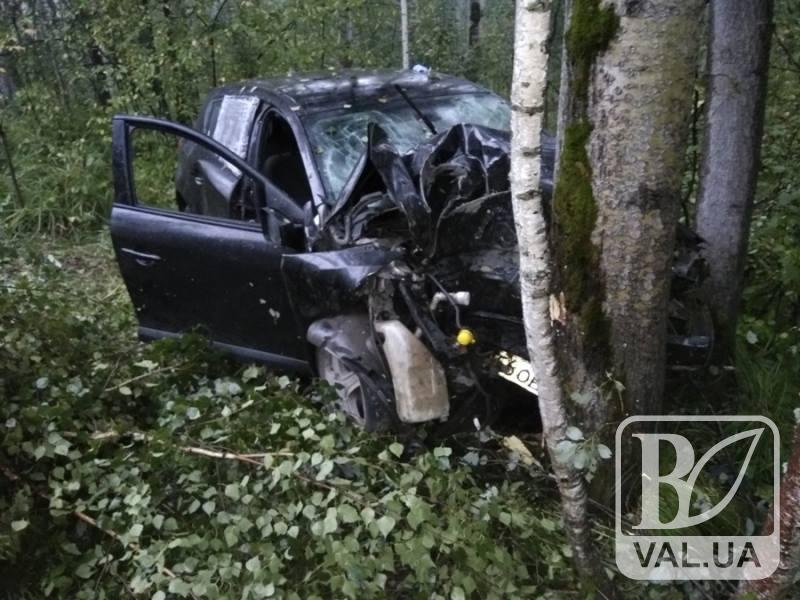Cмертельна ДТП на Чернігівщині: легковик зіткнувся з деревом 