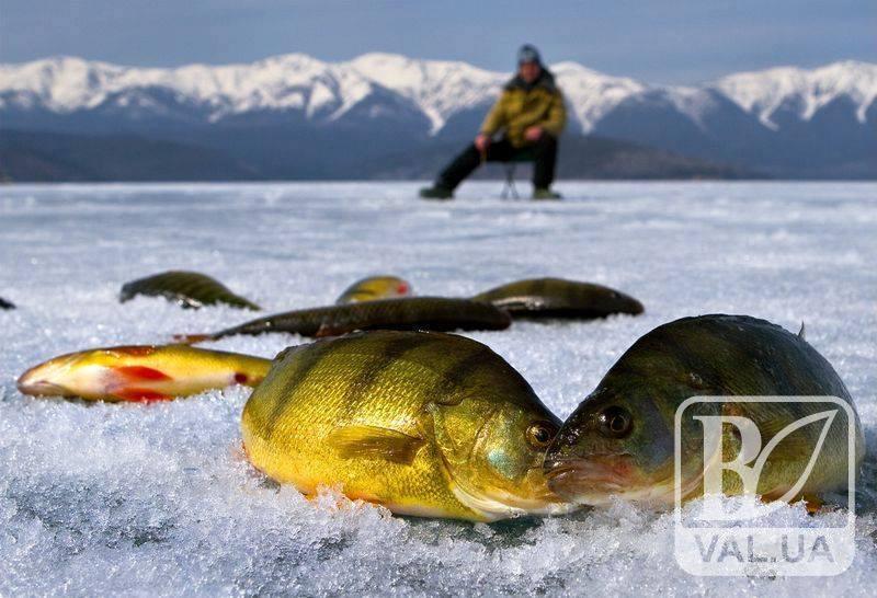 Чернігівським риболовам на замітку: як ловити рибу взимку правильно і без порушень 