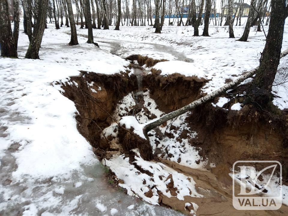 Через танення снігу Березовий гай опинився під загрозою. ФОТО
