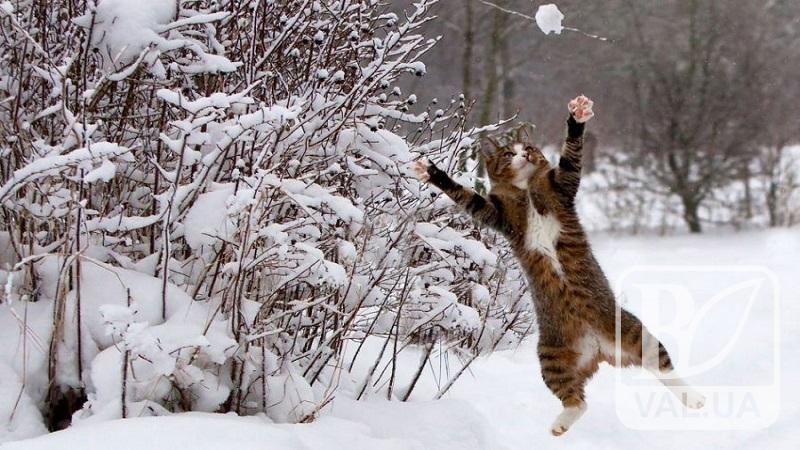 У перший день весни на Чернігівщині синоптики обіцяють сніг та сильний вітер