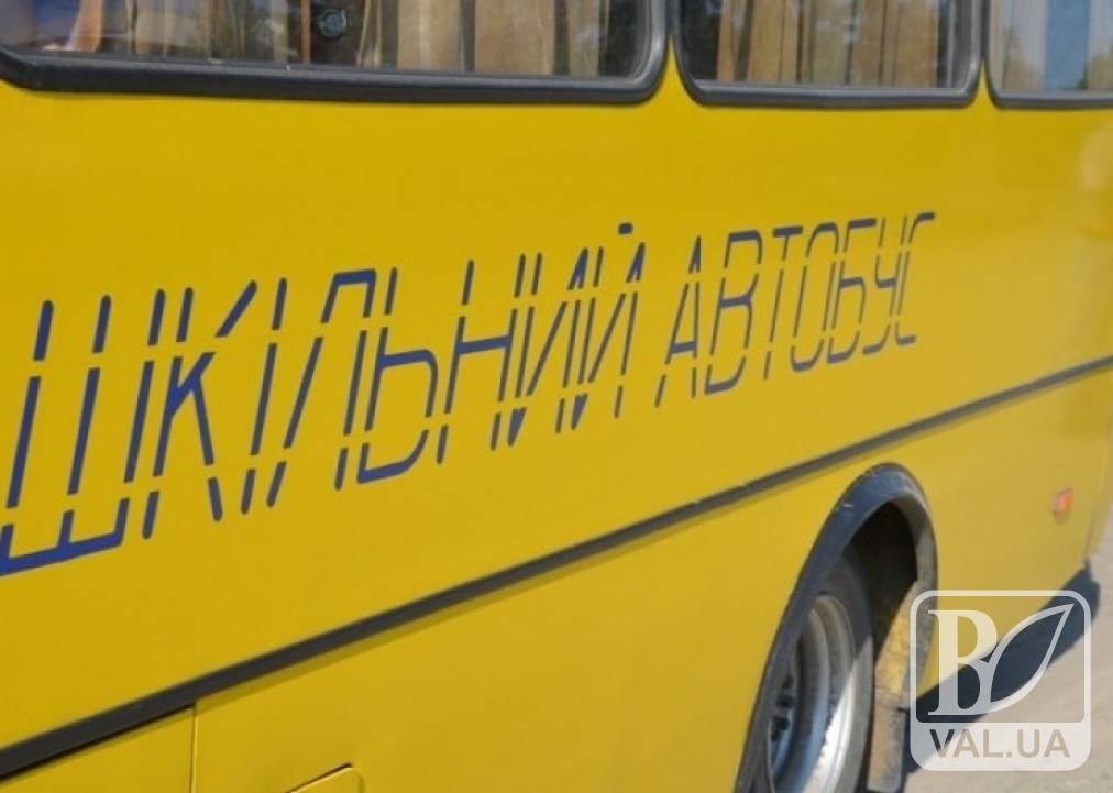 «Копійка» зіткнулась зі шкільним автобусом. Постраждала 10-річна дівчинка