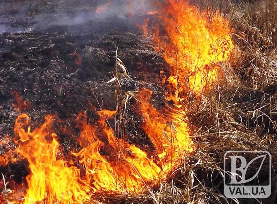 На Чернігівщині загинув чоловік під час гасіння пожежі