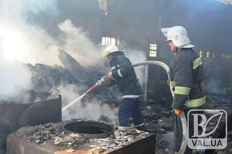 На Чернігівщині вогнеборці упродовж останніх трьох діб ліквідували 72 пожежі. ФОТО