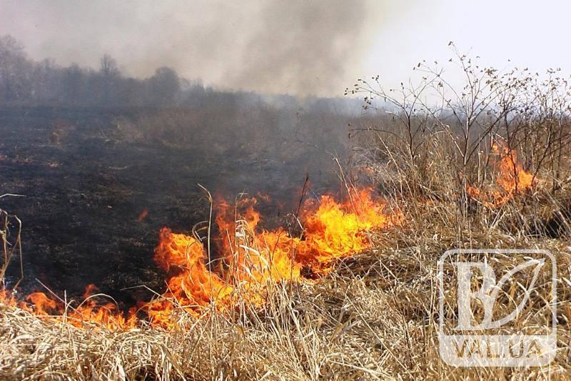 За минулу добу на Чернігівщині згоріло понад 15 гектарів трави