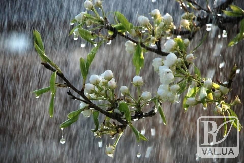  На вихідних Чернігівщину заливатимуть дощі з грозами