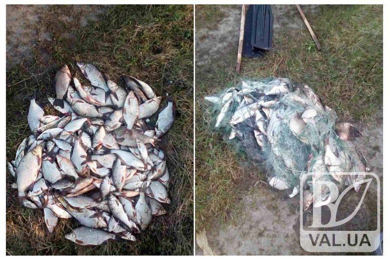 На Чернігівщині браконьєри «наловили» риби на 13 тисяч гривень