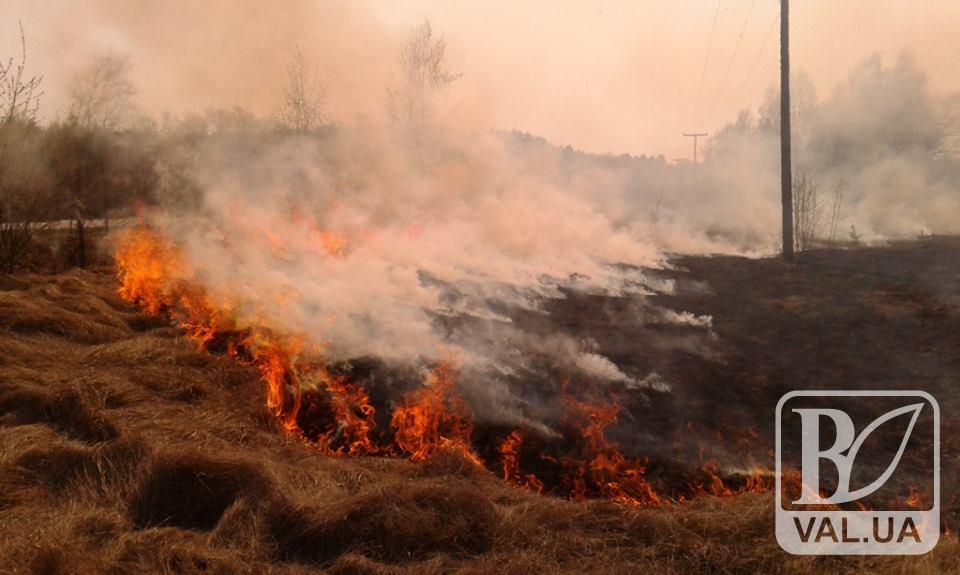 З початку квітня на Чернігівщині згоріло понад 350 га сухої трави