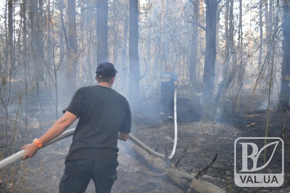 Пожежу у лісі під Гончарівським майже ліквідовано. Загрози військовим складам нема. ФОТО