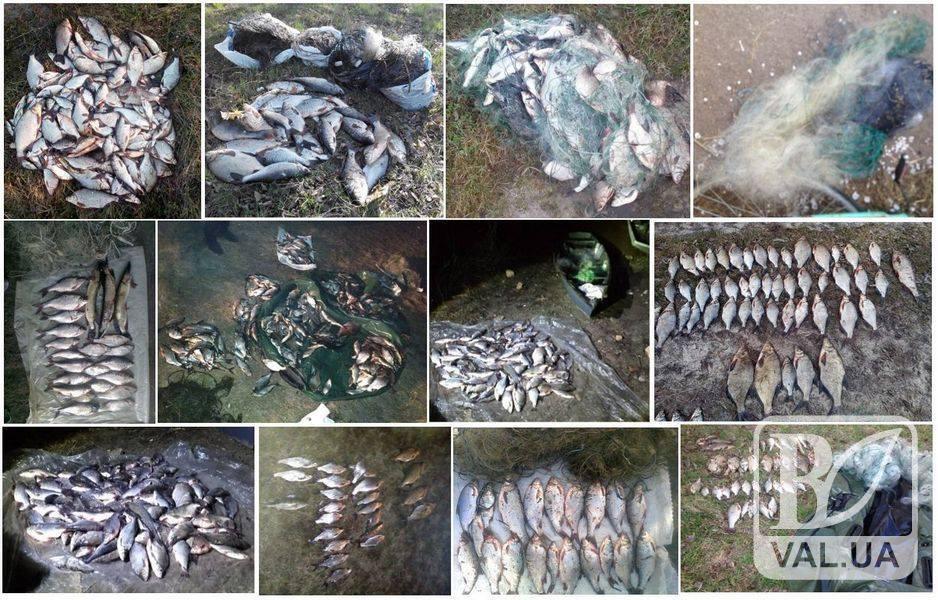 На Чернігівщині браконьєри завдали збитків рибному господарству на 11 тисяч гривень