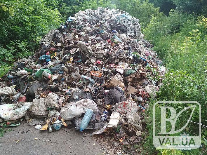 На Чернігівщині вантажівка скинула 12 тонн сміття зі Львова 