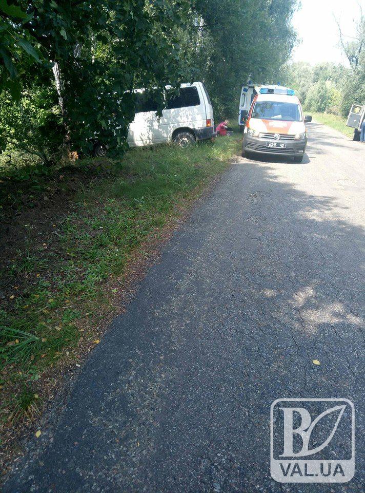 На Чернігівщині мікроавтобус врізався у дерево. Постраждала дитина