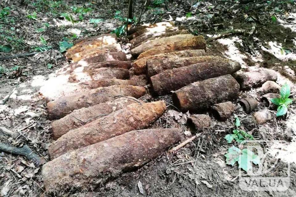 На Чернігівщині виявили арсенал боєприпасів. ФОТО