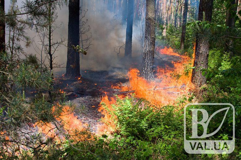 На Чернігівщині попереджають про надзвичайну пожежну небезпеку