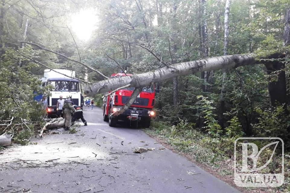 У Козелецькому районі впало дерево та перекрило рух транспорту. ФОТО