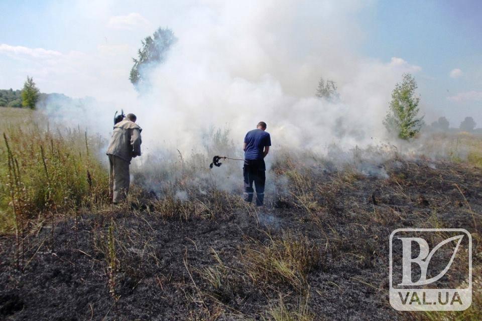 На Чернігівщині згоріло майже 4 гектари сухої трави. ФОТО