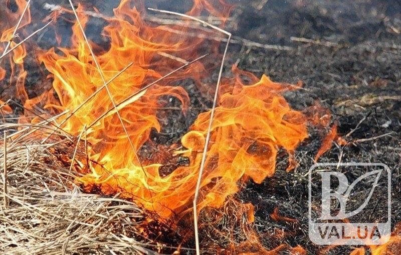 На Чернігівщині очікується надзвичайна пожежна небезпека