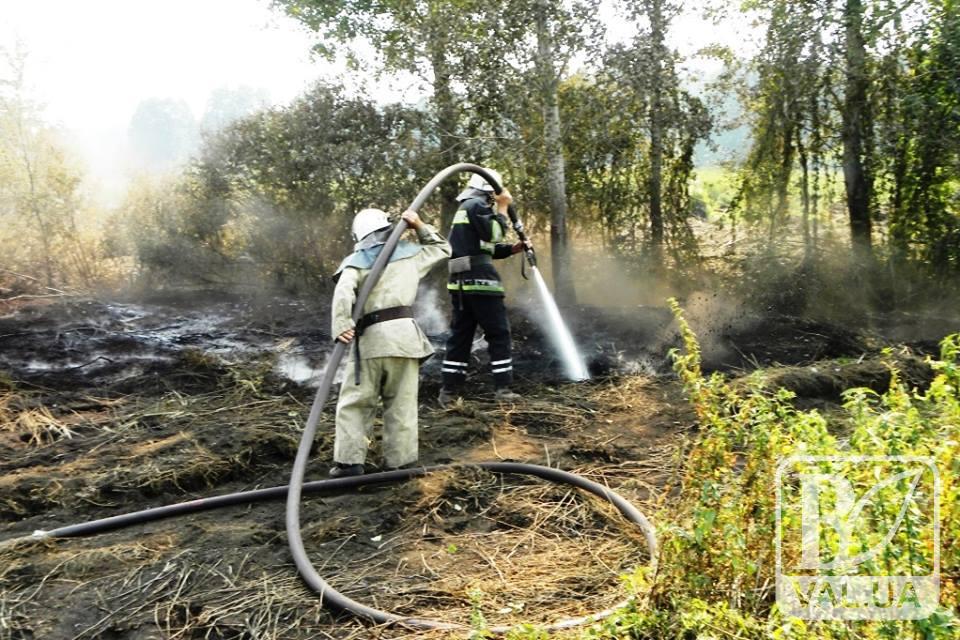 На Чернігівщині за останню добу вигоріло понад 20 гектарів сухої трави
