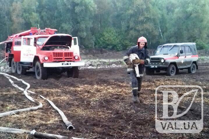На Чернігівщині вогнеборці другу добу ліквідовують загоряння торфу. ФОТО