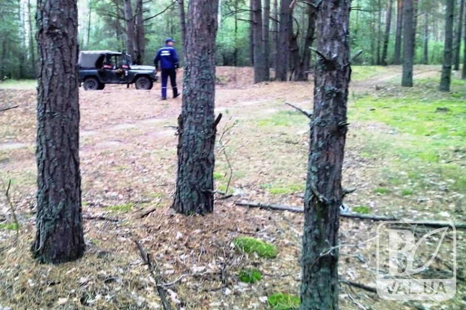 У лісі під Черніговом під час збирання грибів зникла жінка, тривають пошуки