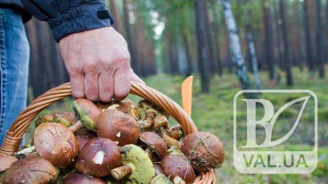 71-річного грибника із Чернігова — знайдено