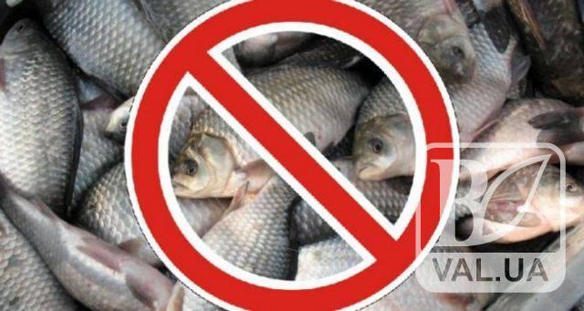 З 1 листопада на Чернігівщині заборонено виловлювати рибу на зимувальних ямах