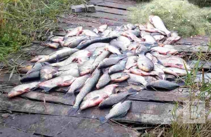 На Черниговщине с начала ноября браконьеры нанесли ущерб почти на 54 тысячи гривен