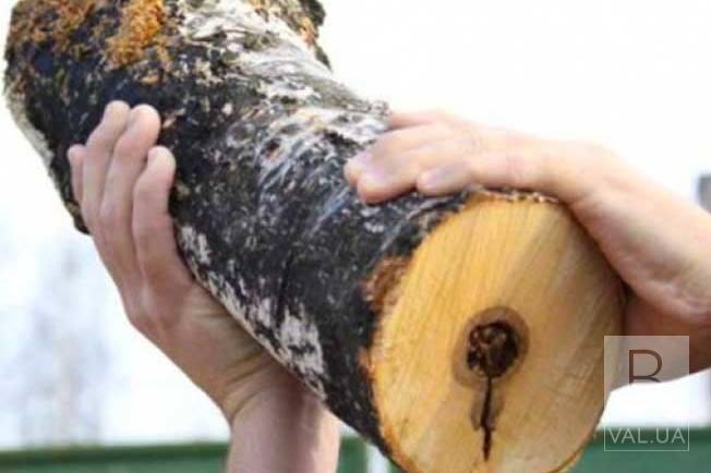 На Чернігівщині 50-річний росіянин забив до смерті чоловіка дерев’яним поліном