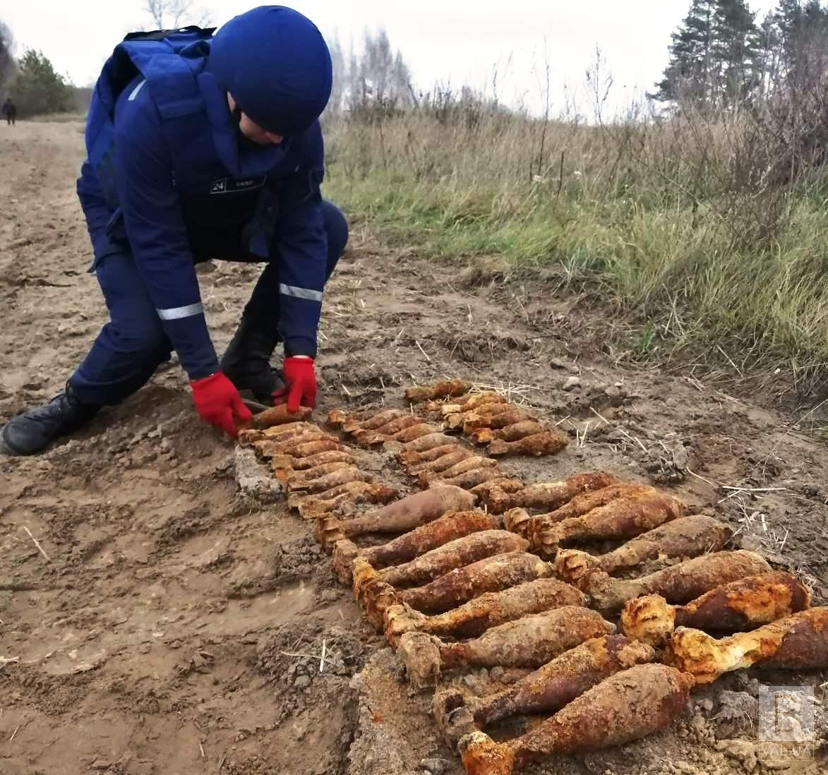 На Чернігівщині піротехніки знищили 44 боєприпасів. ФОТО