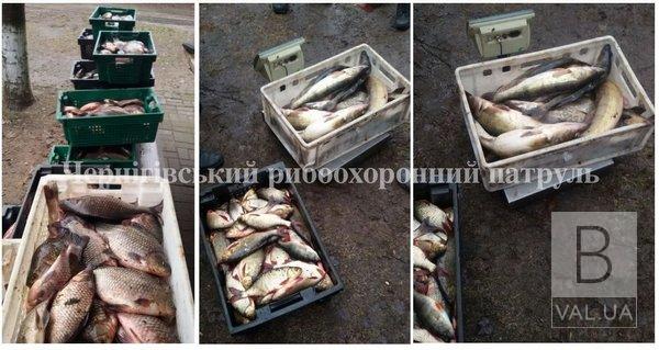 На Чернігівщині викрили нелегального скупника з понад 400 кг риби