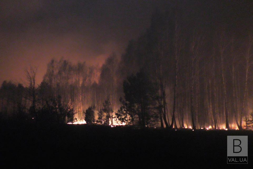 Масштабна пожежа лісу на Козелеччині триває: вогнем пройдено близько 195 га