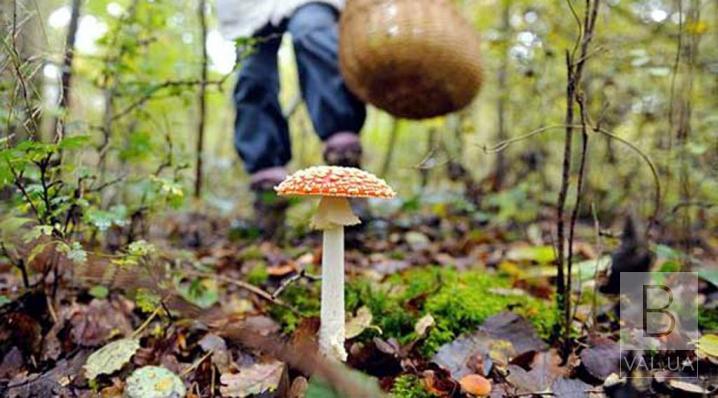 Отруївся грибами: у Чернігові помер 26-річний чоловік