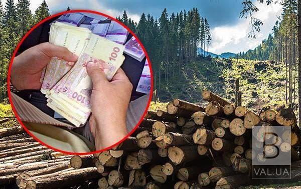 «Наш край» на Чернігівщині пропонує механізм збільшення прибутку від продажу деревинита поповнення бюджету області