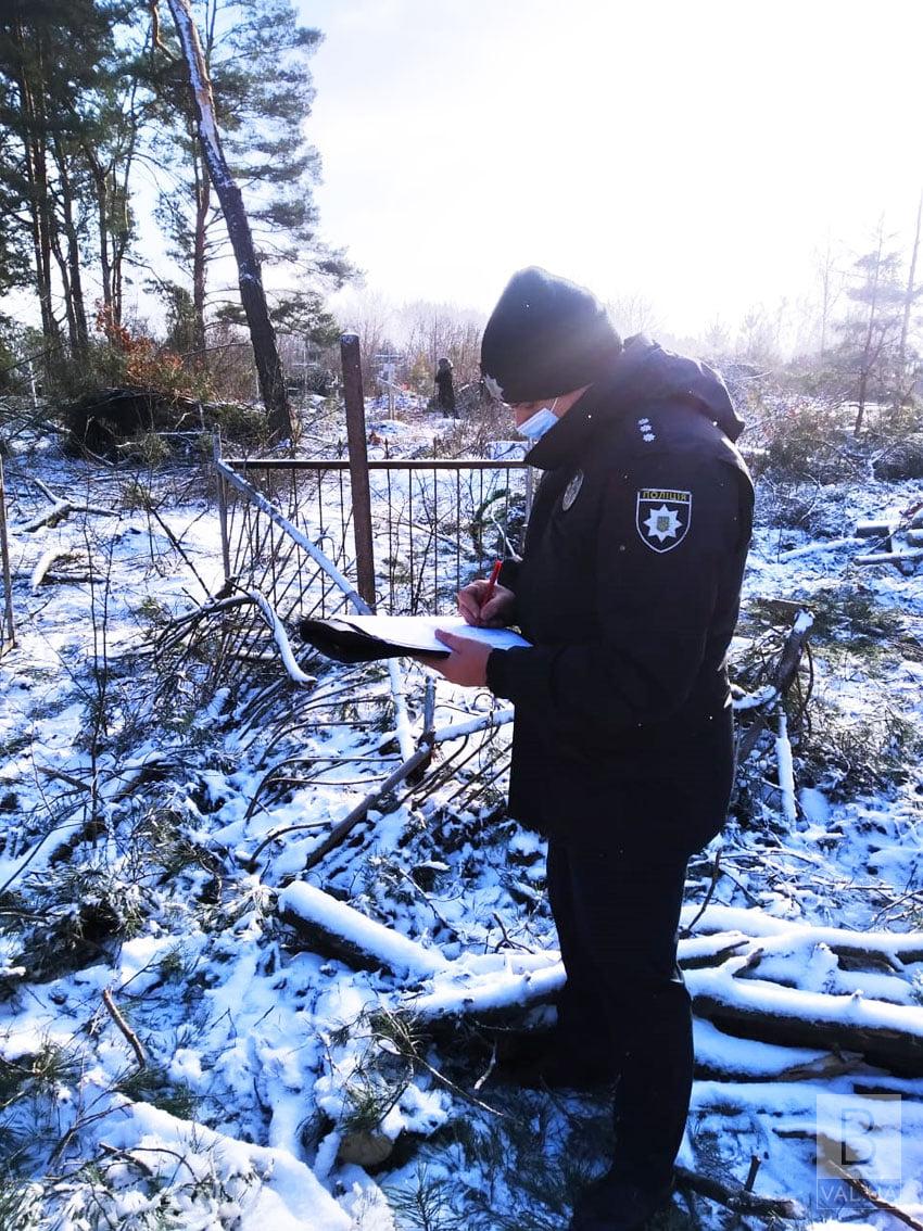 Рубав дерева на кладовищі: на Чернігівщині підприємець пошкодив 15 могил. ФОТО