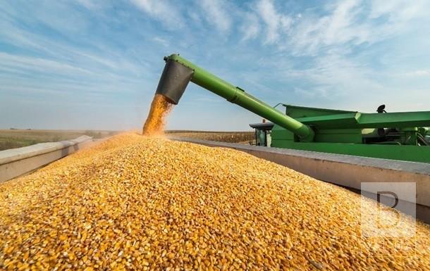 Рекордний врожай: на Чернігівщині зібрали майже 6,3 мільйона тонн зернових