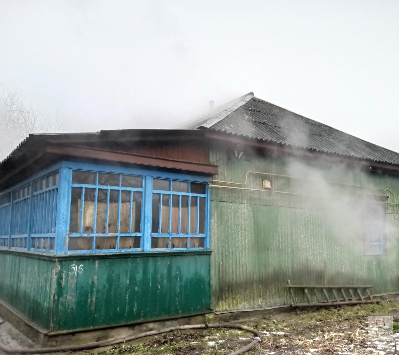 На Чернігівщині в пожежі загинули бабуся і онук. ФОТО