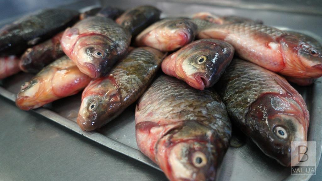 На споживчі ринки Чернігівщині протягом минулого року поставили 135 тонн риби