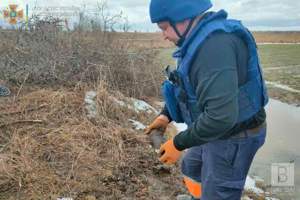 Неподалік Чернігова дорожники під час чистки лісосмуги знайшли боєприпас