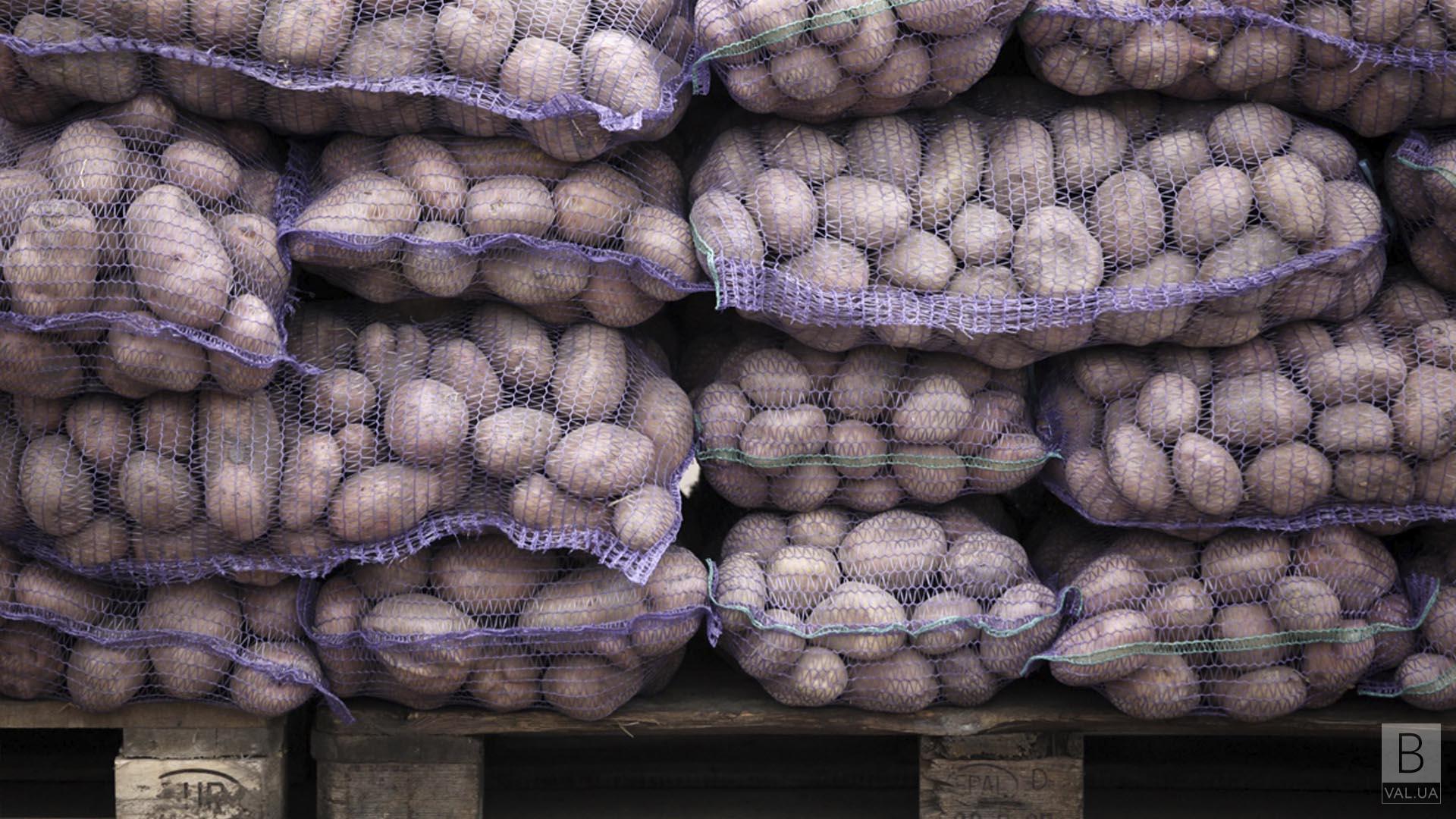Кожен може отримати до 30 кг: посадкову картоплю з Чернігівщини безкоштовно роздають по всій Україні