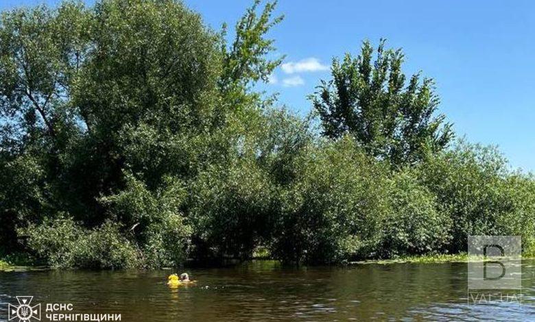 На Чернігівщині на річці Удай надзвичайники врятували 60-річну жінку, яка тонула