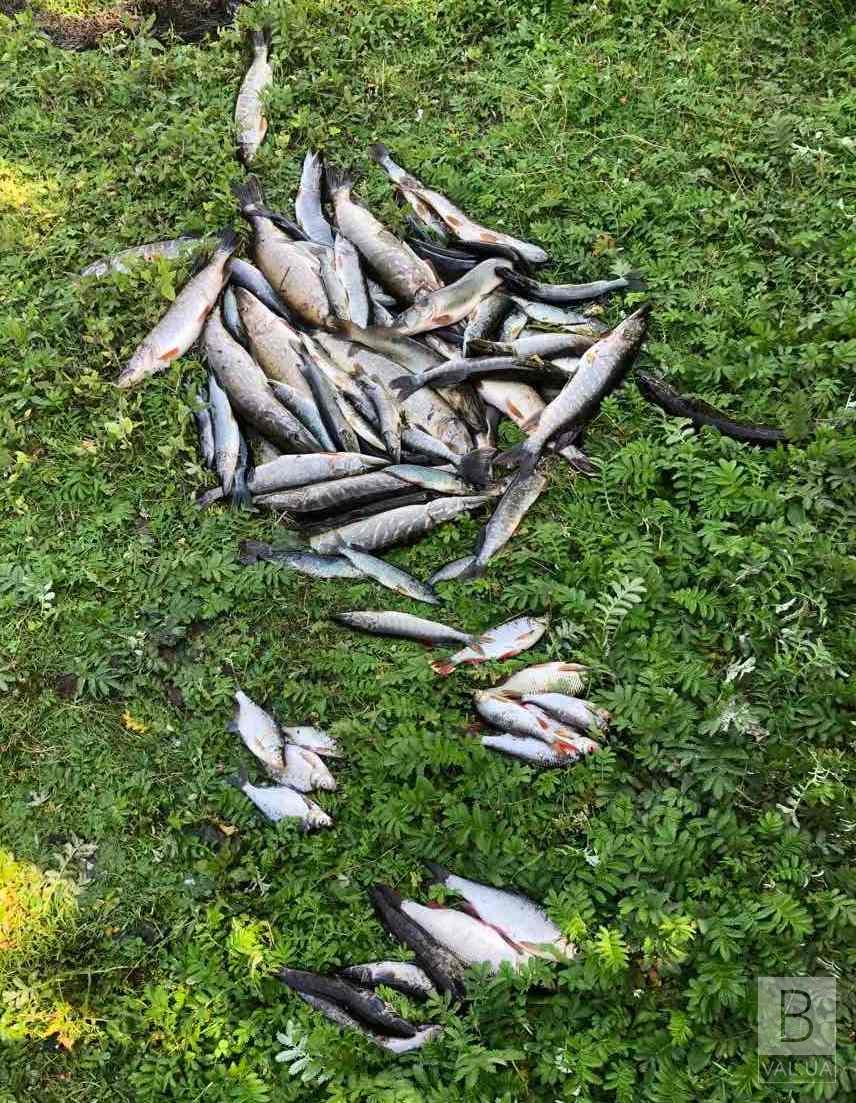 Рибалки з Корюківщини за 10 кілограмів риби заплатять понад 250 тисяч гривень