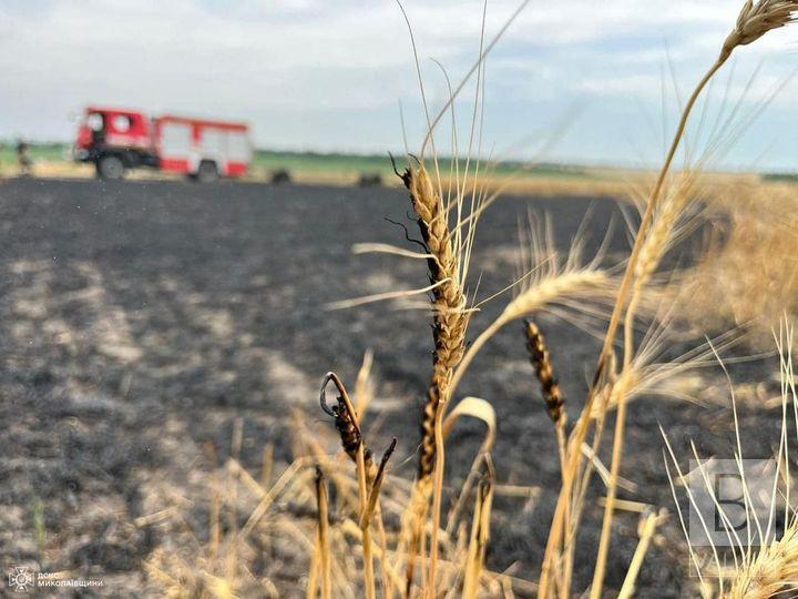 На Корюківщині згоріло близько 4 гектарів хліба