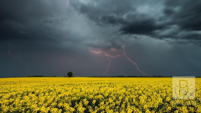 На Чернігівщині 7 серпня очікуються грози