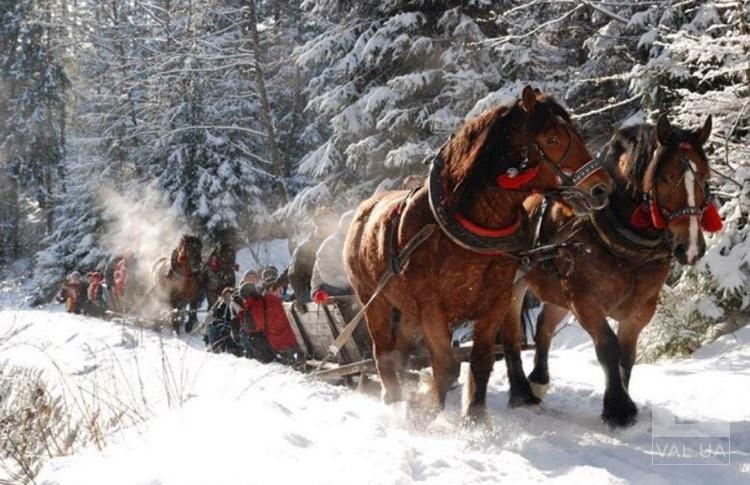 Зимові розваги в Карпатах