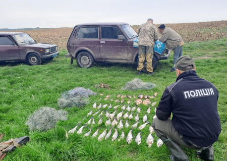 На Чернігівщині браконьєр за 74 рибини заплатить штраф на майже 120 тисяч гривень