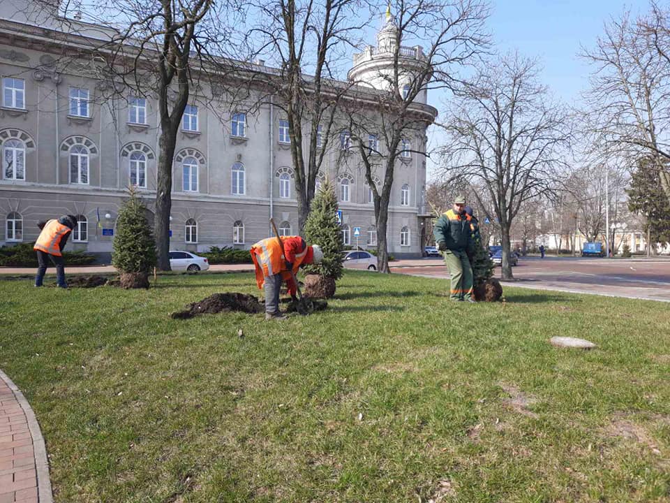 Чернігівські комунальники наводять лад на зелених зонах. ФОТО
