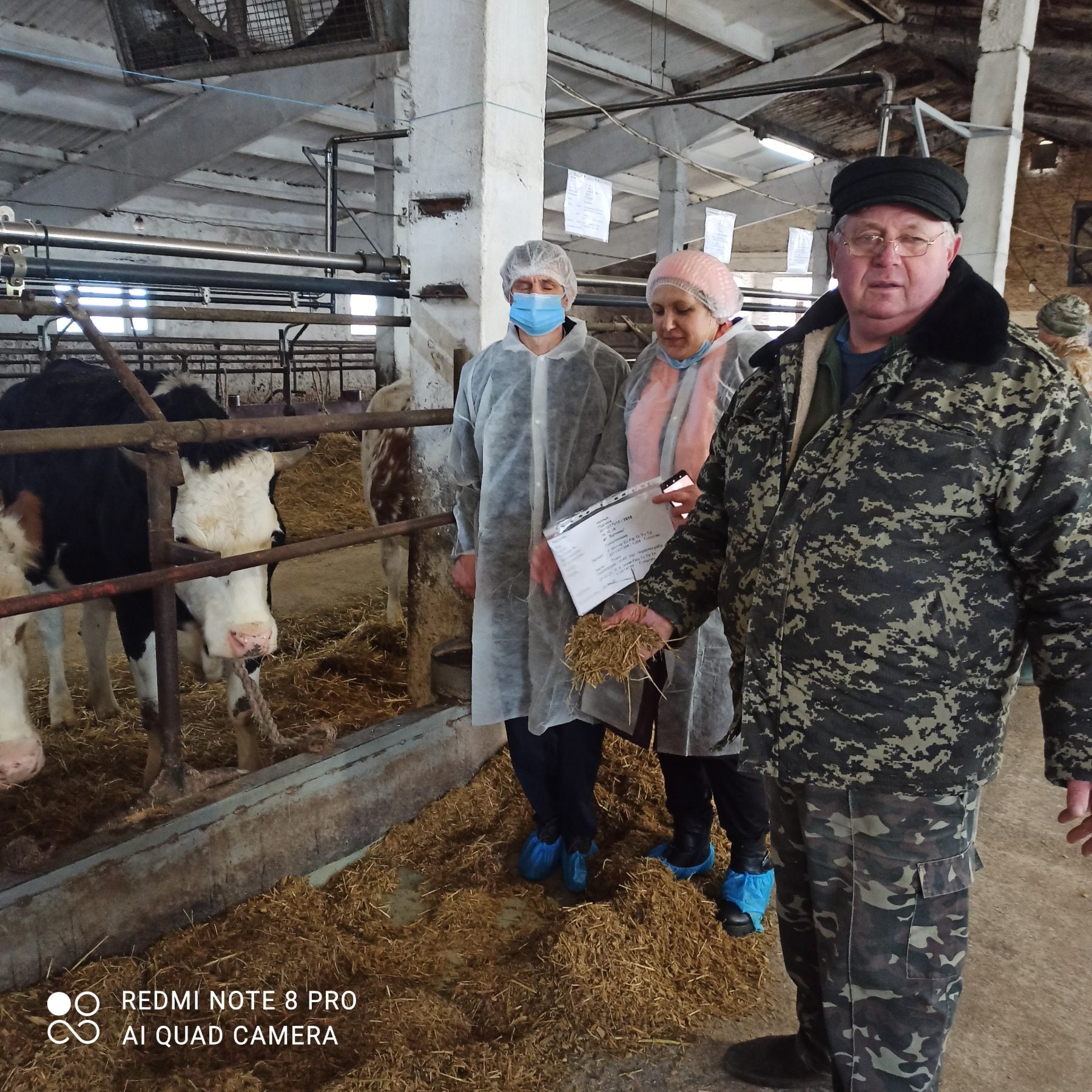 Три багатодітні сім’ї з Корюківщини отримали нетелей в рамках обласної програми. ФОТО